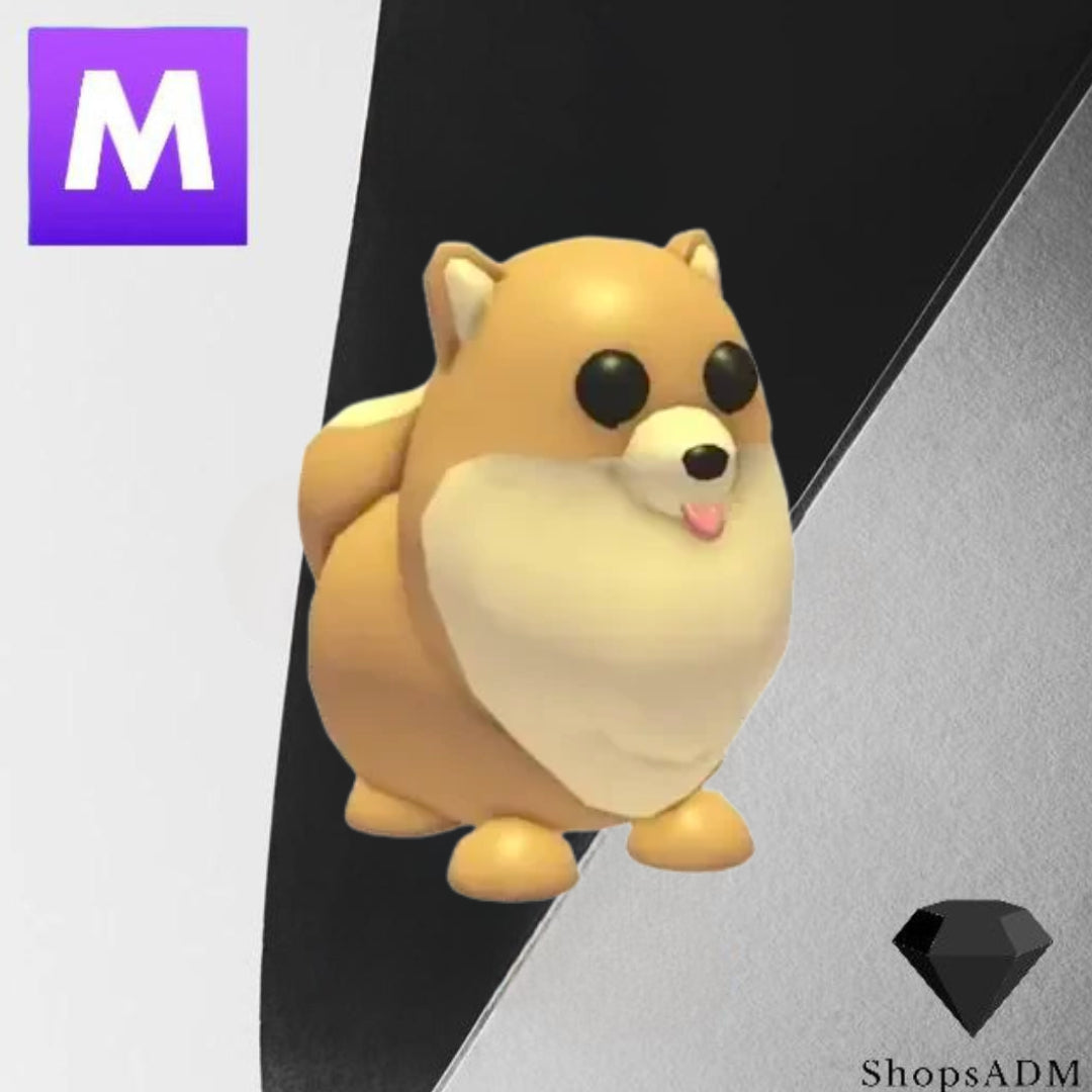 Mega Pomeranian