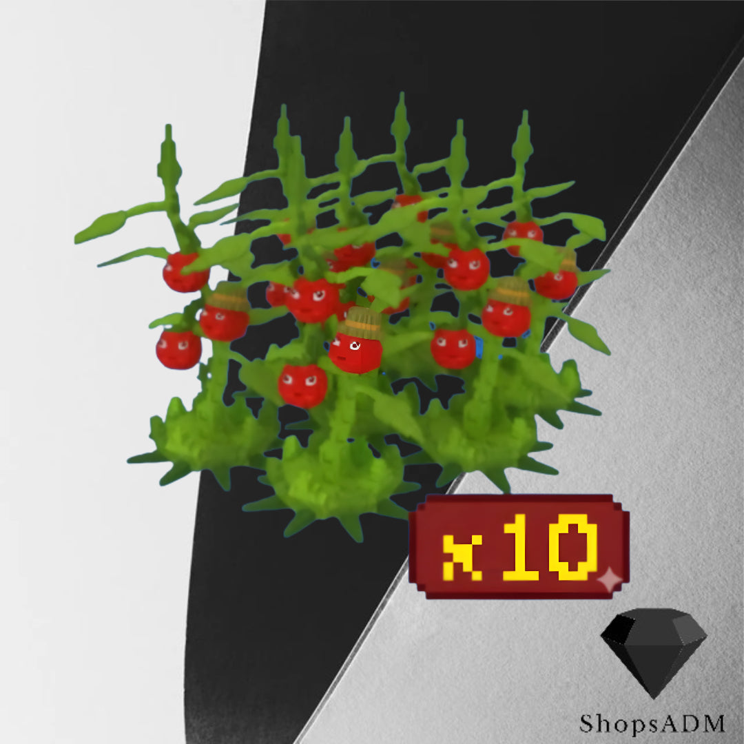 x10 Tomatrio Bundle