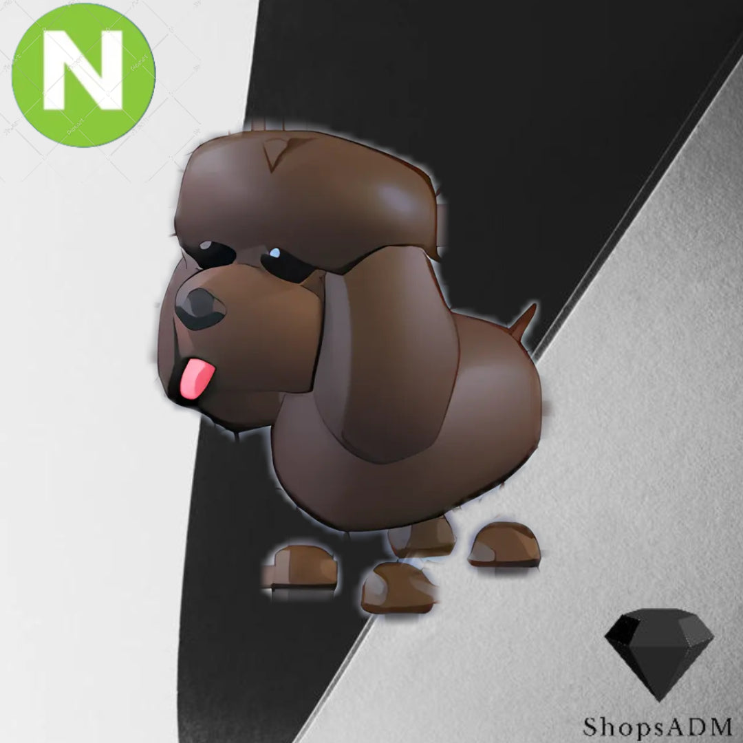 Neon Irish Water Spaniel