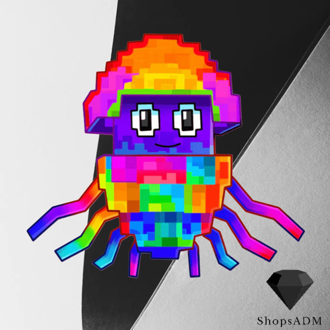 Rainbow Graipuss Medussi