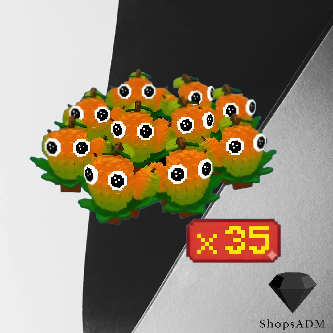 x35   Mango   Bundle