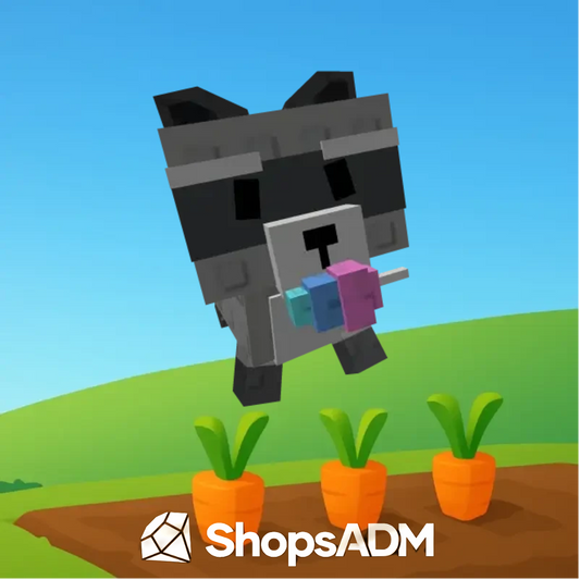 Raccoon