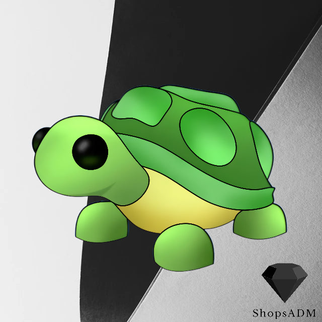 Turtle Shopkeeper Turtle – ShopsADM